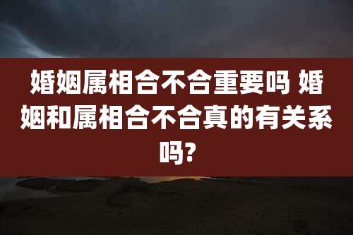 婚姻属相合不合重要吗 婚姻和属相合不合真的有关系吗?