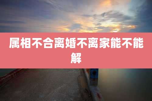 属相不合离婚不离家能不能解