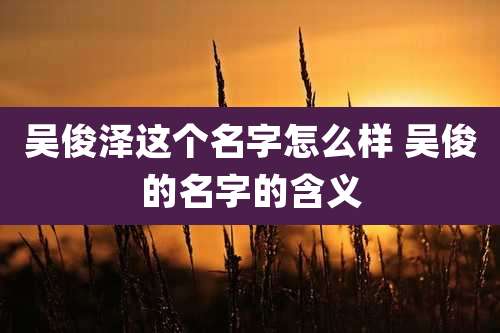 吴俊泽这个名字怎么样 吴俊的名字的含义