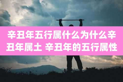 辛丑年五行属什么为什么辛丑年属土 辛丑年的五行属性
