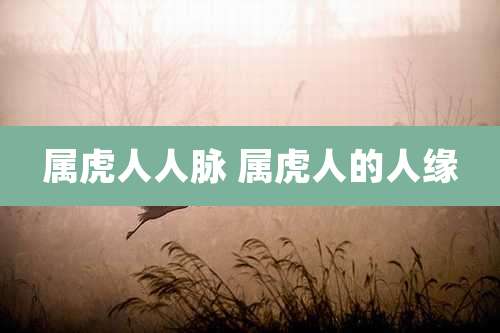 属虎人人脉 属虎人的人缘