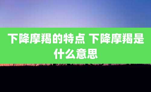 下降摩羯的特点 下降摩羯是什么意思