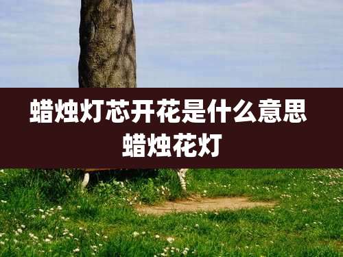 蜡烛灯芯开花是什么意思 蜡烛花灯