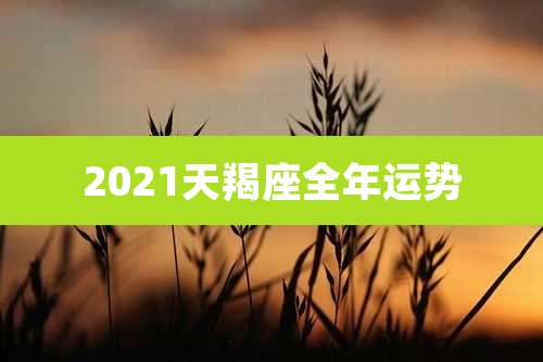 2021天羯座全年运势