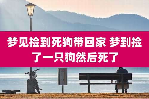 梦见捡到死狗带回家 梦到捡了一只狗然后死了