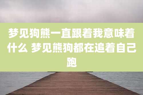 梦见狗熊一直跟着我意味着什么 梦见熊狗都在追着自己跑