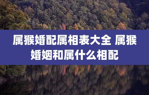 属猴婚配属相表大全 属猴婚姻和属什么相配