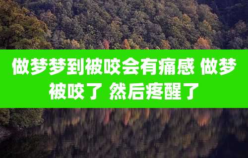 做梦梦到被咬会有痛感 做梦被咬了 然后疼醒了