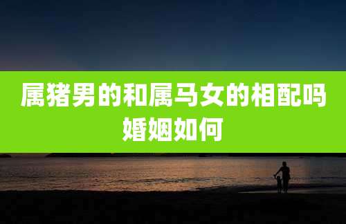 属猪男的和属马女的相配吗婚姻如何
