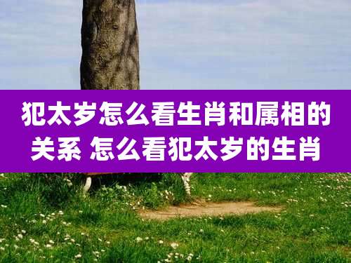 犯太岁怎么看生肖和属相的关系 怎么看犯太岁的生肖