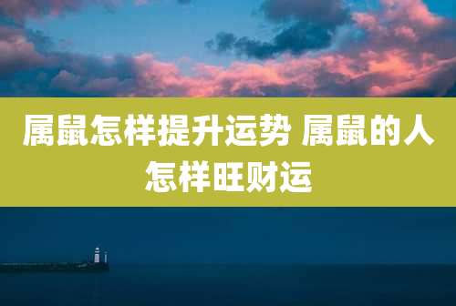 属鼠怎样提升运势 属鼠的人怎样旺财运