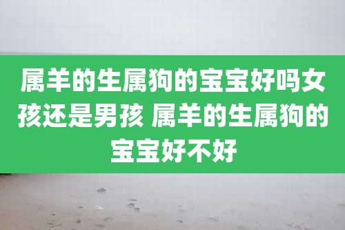 属羊的生属狗的宝宝好吗女孩还是男孩 属羊的生属狗的宝宝好不好
