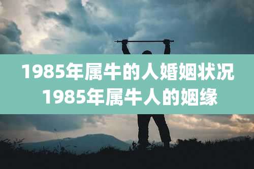 1985年属牛的人婚姻状况 1985年属牛人的姻缘