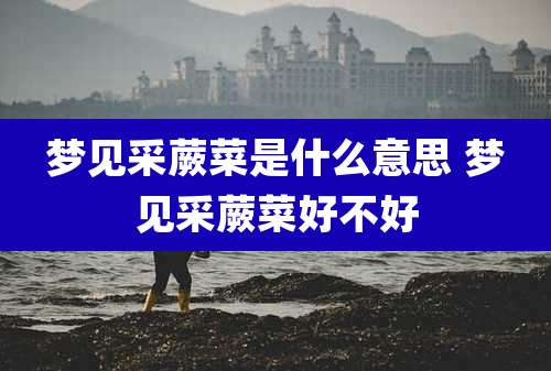 梦见采蕨菜是什么意思 梦见采蕨菜好不好
