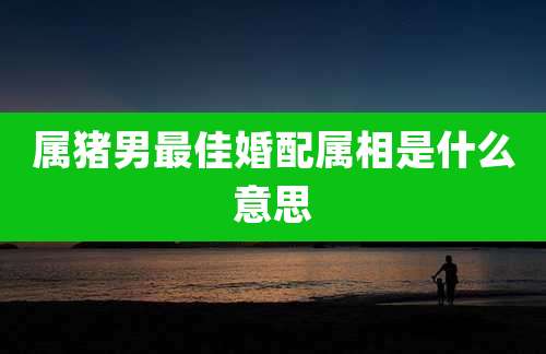 属猪男最佳婚配属相是什么意思