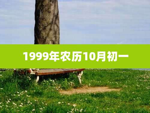 1999年农历10月初一