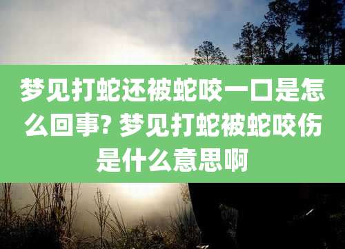 梦见打蛇还被蛇咬一口是怎么回事? 梦见打蛇被蛇咬伤是什么意思啊