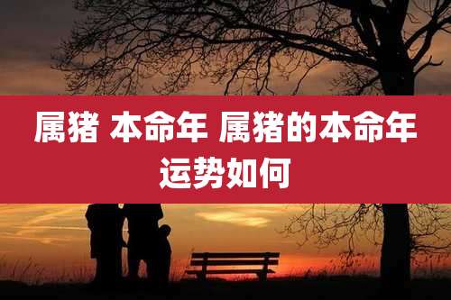 属猪 本命年 属猪的本命年运势如何