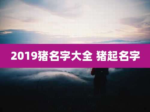 2019猪名字大全 猪起名字