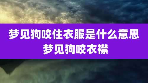 梦见狗咬住衣服是什么意思 梦见狗咬衣襟