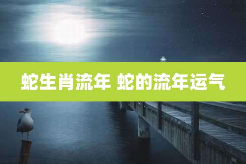 蛇生肖流年 蛇的流年运气