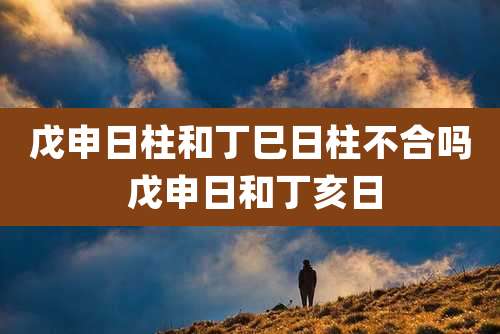 戊申日柱和丁巳日柱不合吗 戊申日和丁亥日