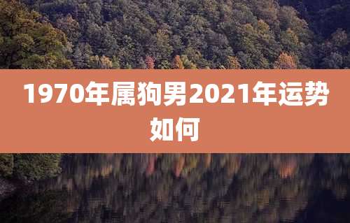 1970年属狗男2021年运势如何