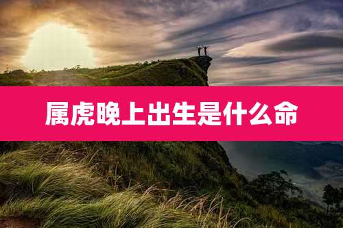 属虎晚上出生是什么命