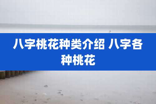 八字桃花种类介绍 八字各种桃花