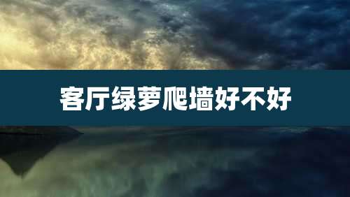 客厅绿萝爬墙好不好