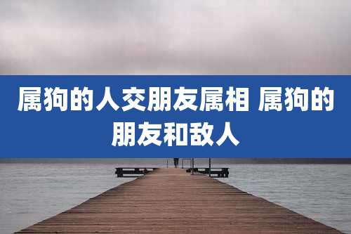 属狗的人交朋友属相 属狗的朋友和敌人