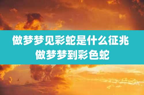 做梦梦见彩蛇是什么征兆 做梦梦到彩色蛇