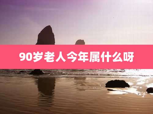 90岁老人今年属什么呀