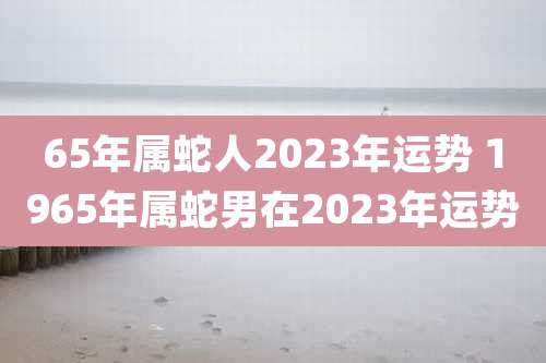 65年属蛇人2023年运势 1965年属蛇男在2023年运势