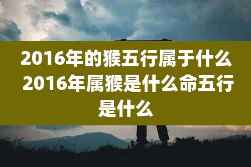 2016年的猴五行属于什么 2016年属猴是什么命五行是什么