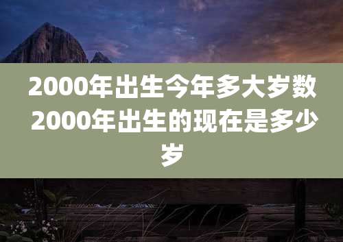 2000年出生今年多大岁数 2000年出生的现在是多少岁