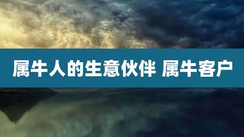 属牛人的生意伙伴 属牛客户