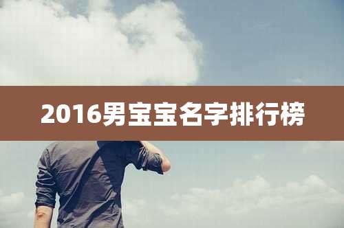 2016男宝宝名字排行榜