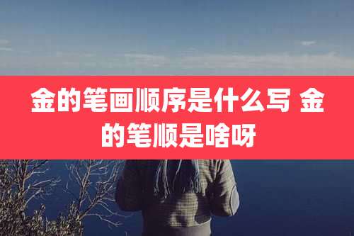 金的笔画顺序是什么写 金的笔顺是啥呀
