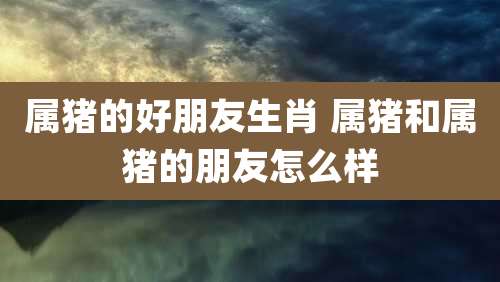 属猪的好朋友生肖 属猪和属猪的朋友怎么样