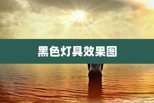 黑色灯具效果图