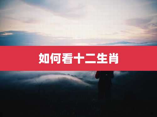 如何看十二生肖