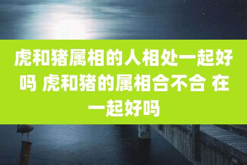 虎和猪属相的人相处一起好吗 虎和猪的属相合不合 在一起好吗