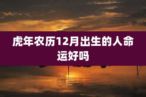 虎年农历12月出生的人命运好吗