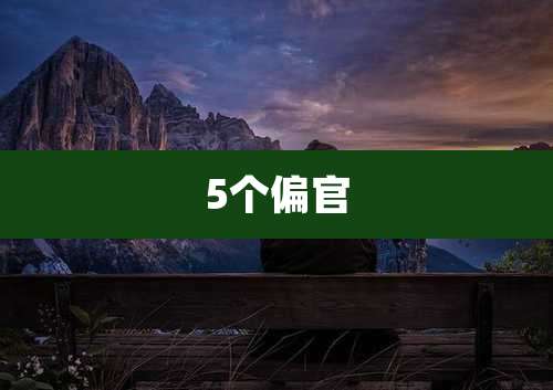 5个偏官