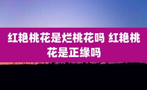 红艳桃花是烂桃花吗 红艳桃花是正缘吗