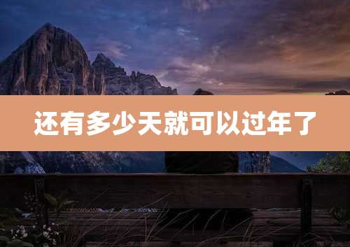 还有多少天就可以过年了