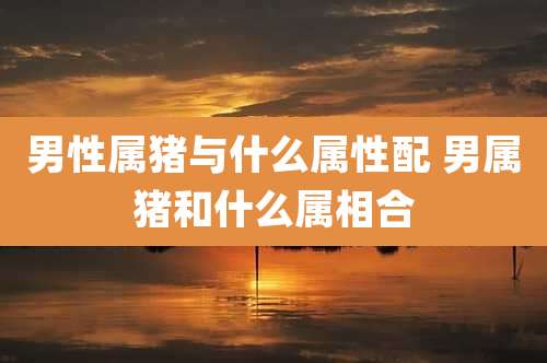 男性属猪与什么属性配 男属猪和什么属相合