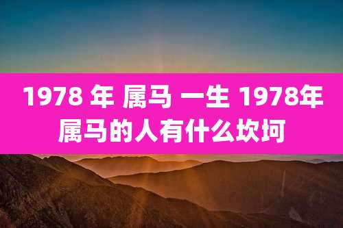 1978 年 属马 一生 1978年属马的人有什么坎坷