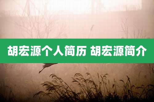 胡宏源个人简历 胡宏源简介